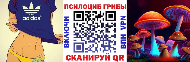 цены наркотик  Армавир  Псилоцибиновые грибы MAGIC MUSHROOMS 